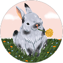 David Van Leuven profile picture